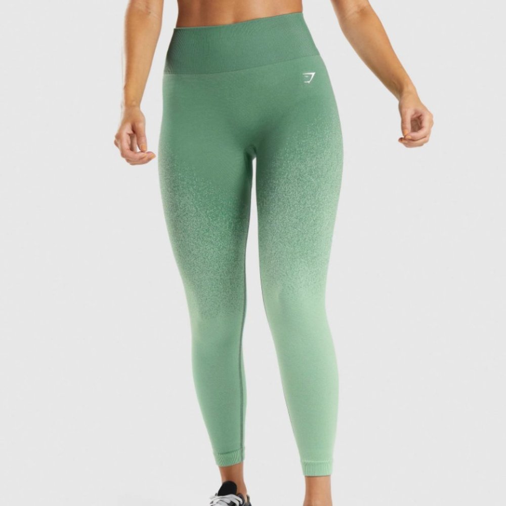 Gym Shark Adapt Ombre Seamless Leggings (sold out online)